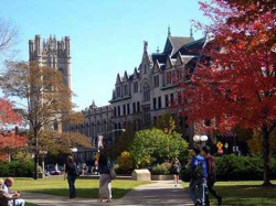 University Of Chicago