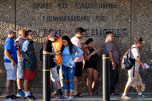 DMV.jpg DMV