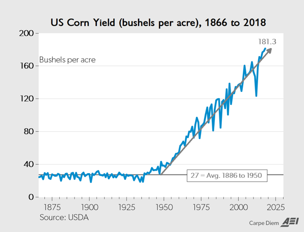 Corn