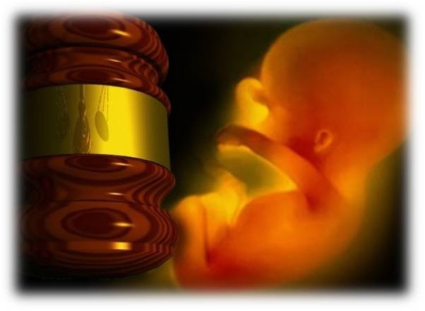 judgepic10.jpg Judgepic10