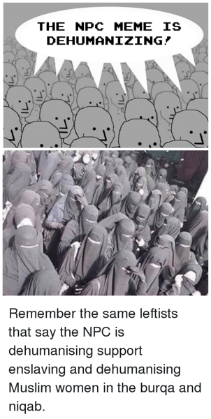 The npc meme is dehumanizing remember the same leftists that 37250718