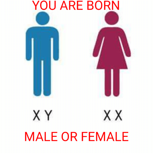 You are born x y xx male or female 21189101