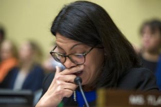 13250910376510792081