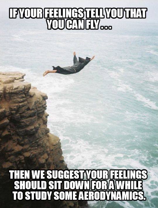 51825935 2222269764501001 2657721888704299008 n