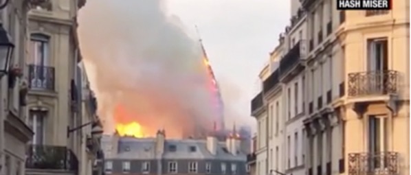 Notre Dame Spire Falls