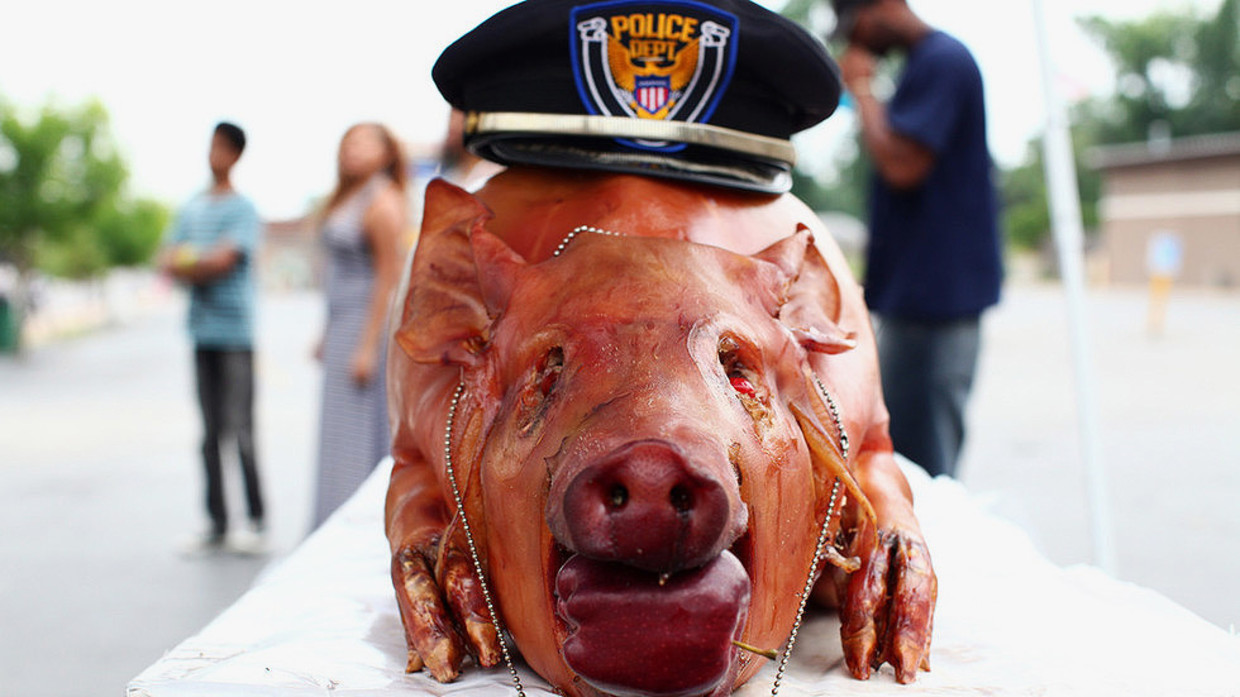 5d3ffdcbfc7e93f30e8b45e4