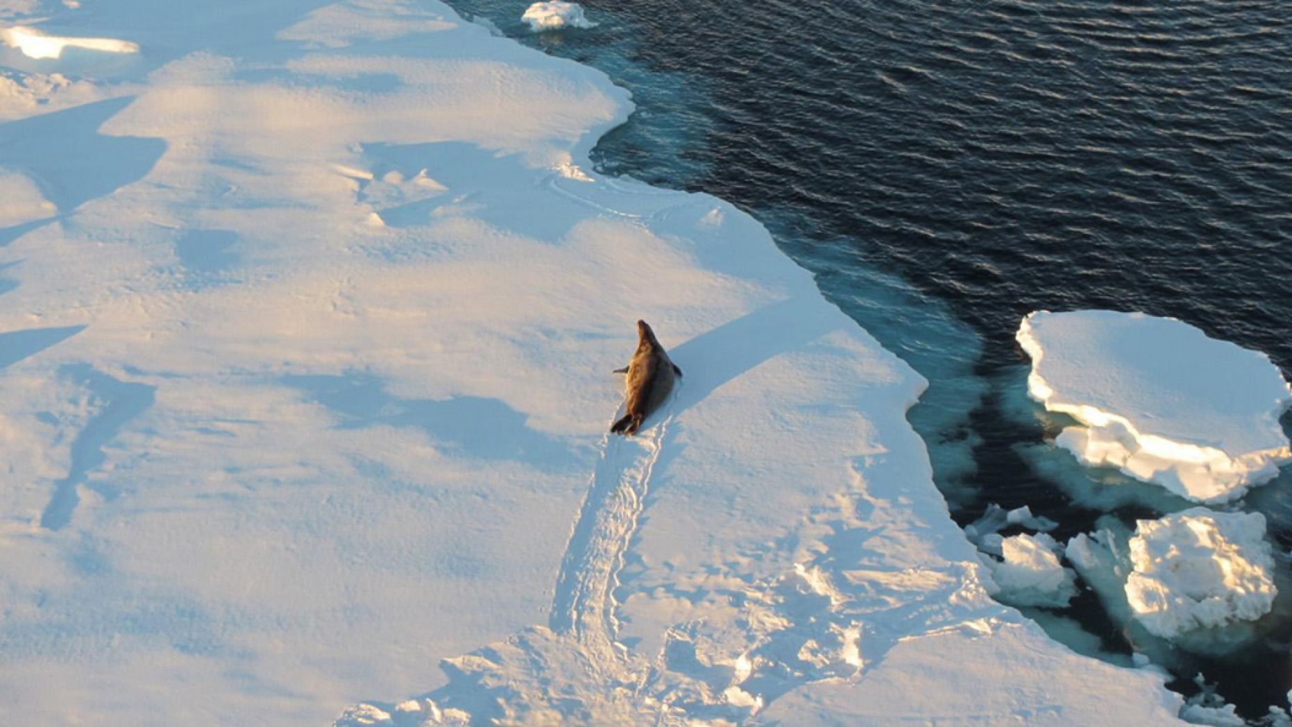 Antarctica ice age
