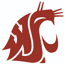 Wsulogo 4