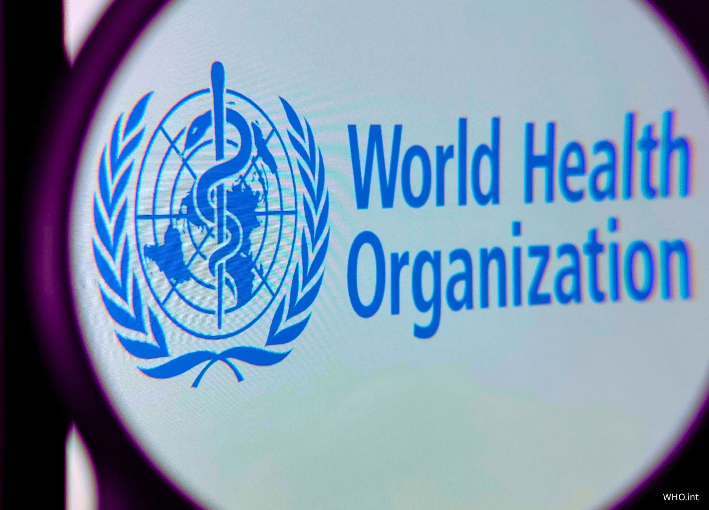 14ce0eeb d44e 4dc7 99bf c5e62026389f_1456x1048.